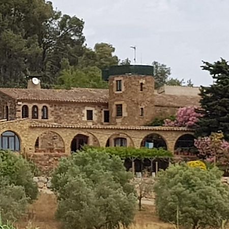 Mas Tomas Vall-Llobrega Exterior foto